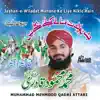 Muhammad Mehmood Qadri Attari - Jashan-e-Wiladat Manane Ke Liye Nikle Hain - Islamic Naats